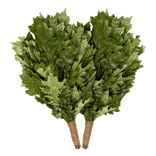 Main image of Kanadietiško Ąžuolo