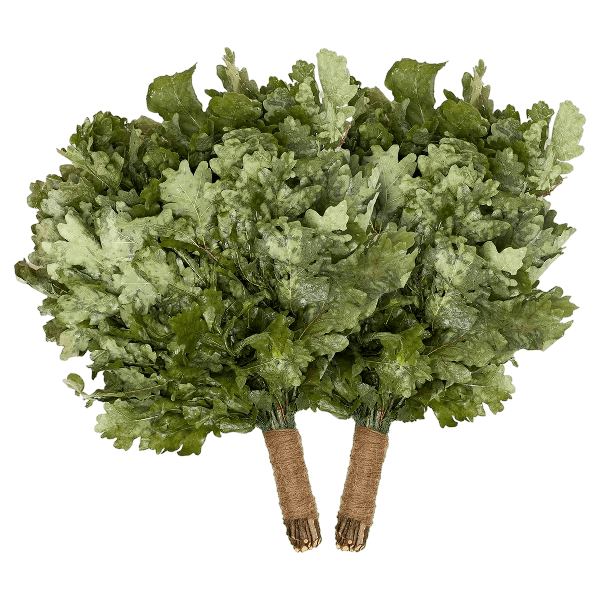 Main image of Europinio Ąžuolo